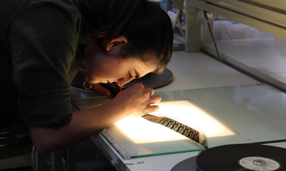 Curation open day link