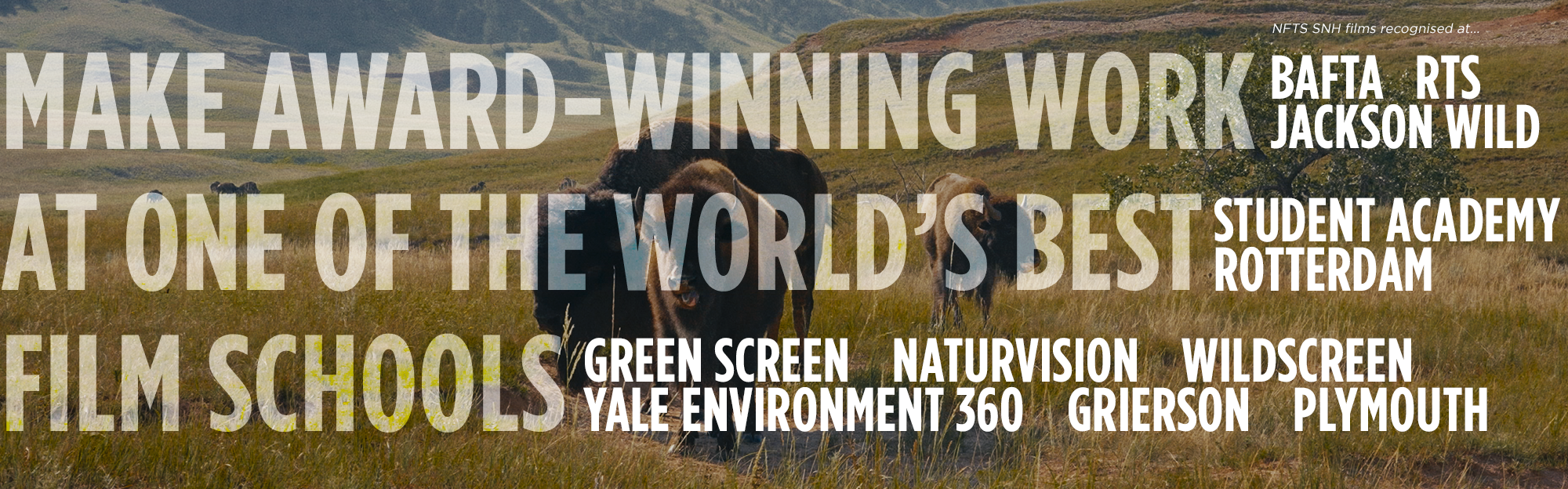 science and natural history festivals